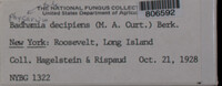 Image Associated With the Occurence